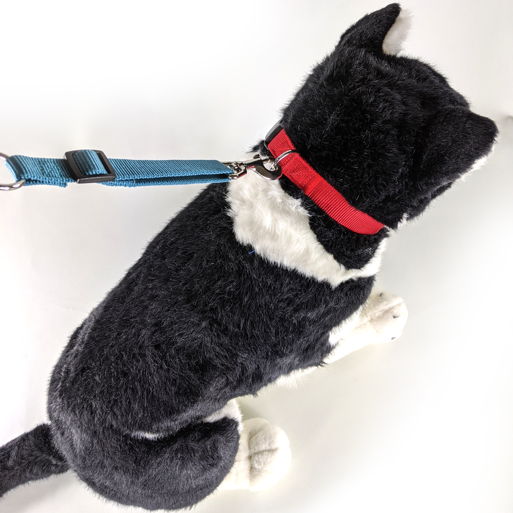 紅色項圈搭配藍色牽繩俯視圖，五金扣件細節清晰